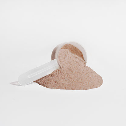 Plant Protein+ Chocolate