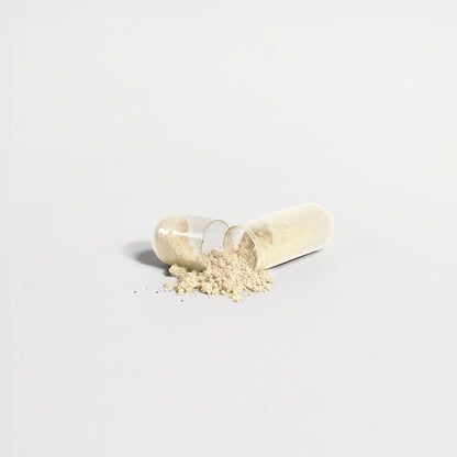 Gut Balance+