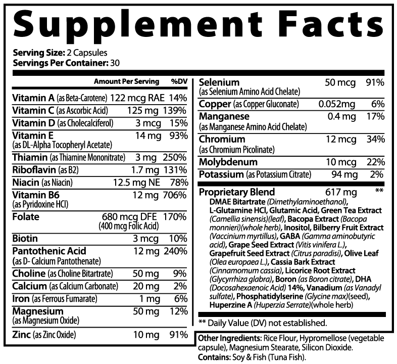 Brain Fuel