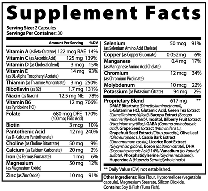 Brain Fuel